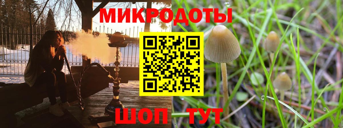 Галлюциногенные грибы Psilocybine cubensis Октябрьский